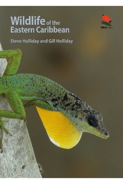Princeton University Press Wildlife of the Eastern Caribbean