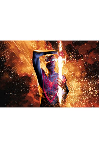 OEM Poster Spiderman Still Found A Reason To Fight, 61x90 cm, poster5254