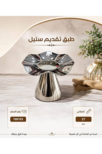 Generic Brand Stainless Steel Serving Dish