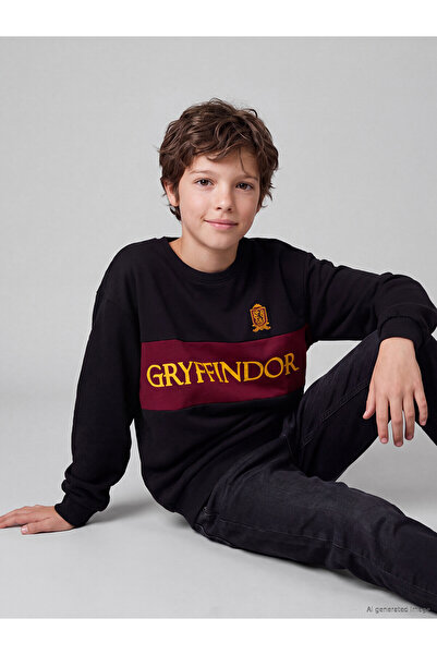 LC Waikiki Two Mt Shop Quality Lcw Kids Black Harry Potter Boys' Sweatshirt