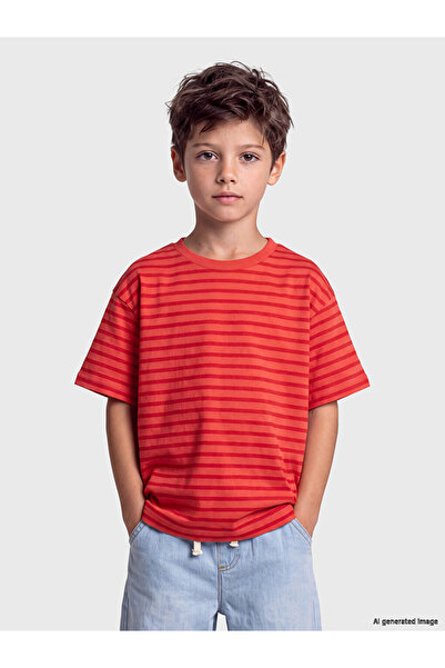 LC Waikiki Vizyon New Season Red Crew Neck Striped Boys' T-Shirt