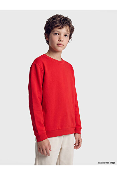 LC Waikiki Two Mt Shop Quality Lcw Kids Red 2 Thread Plain Boys' Sweatshirt