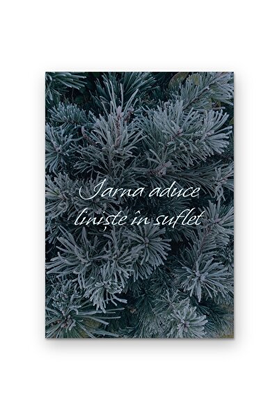 OEM Poster decorativ Iarna aduce liniște în suflet, artă de perete minimalist...