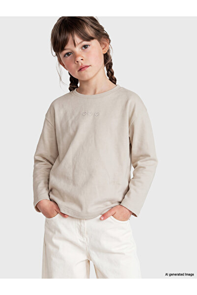 LC Waikiki Two Mt Shop Quality Lcw Kids Gray Embroidered Standard & Regular L...