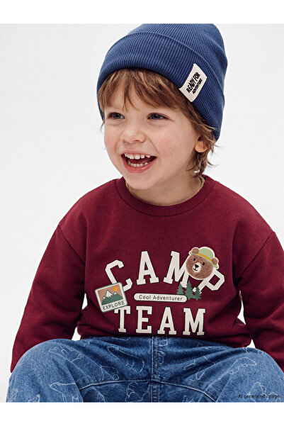 LC Waikiki Two Mt Shop Quality Lcw Baby Burgundy Printed Baby Boy Sweatshirt