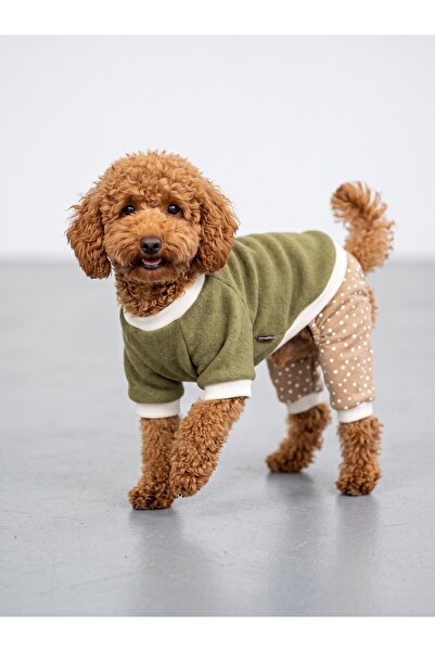 Kemique Latte Matcha Duo – Sprinkle Köpek Tulum & Sweat Kombini