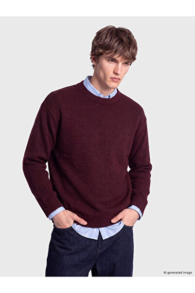 LC Waikiki Vizyon New Season Burgundy Crew Neck Men's Knitwear Sweater