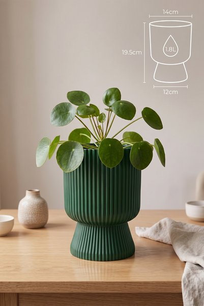 ToXA Ayaklı Deliksiz Saksı 14 cm (1,8 Litre) Dekoratif Plastik Çiçek Saksısı