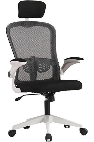 drherbaw Ergonomic Office Chair with Adjustable Lumbar Support,Mesh Back,Flip...