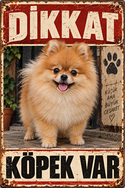 Lucena Pomeranian Boo Dikkat Köpek Var Retro Metal Tabela Dekoratif Uyarı Lev...