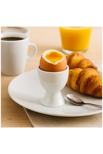 OEM White New Bone Egg Holder Ø5x6.5cm