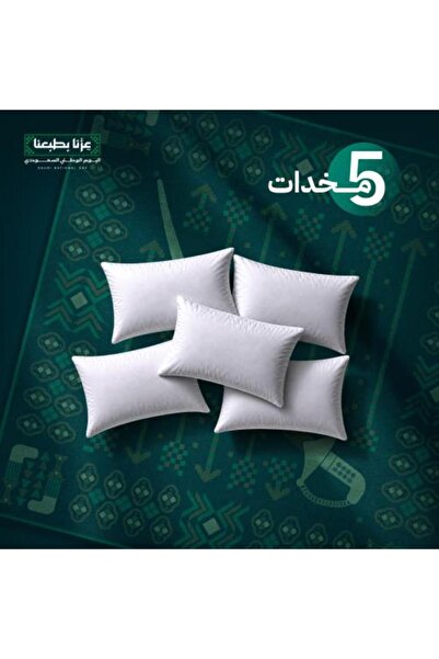 NEW 5 pillows - 1000 grams