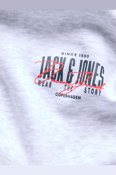 Jack & Jones Erkek Gögüs Baskili Regular Fit Kapüsonlu Sweatshirt - Aero
