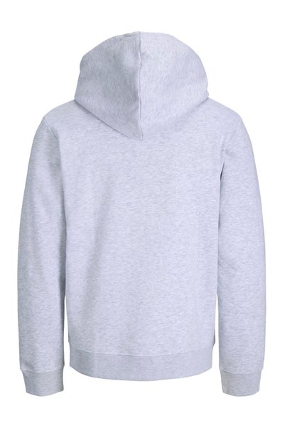 Jack & Jones Erkek Gögüs Baskili Regular Fit Kapüsonlu Sweatshirt - Aero