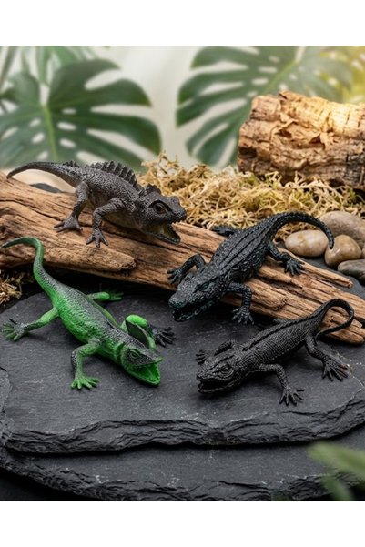 LRS STORE 4’lü Kertenkele Oyuncak Seti 15 cm – Gerçekçi Sürüngen Figürleri, Renkli Kertenkele Oyuncak, Çocuk Oyuncağı