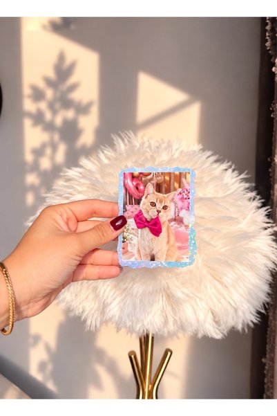 Cheva.paw Kişiye Özel Fotoğraflı Kedi Köpek Sticker