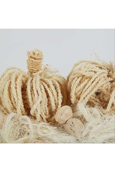 Blends Pumpkin & Exotic Mix in Pouch - Ivory White