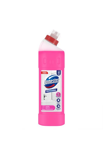 Domestos Professional Asidik Banyo Temizleyici 750 ml x2