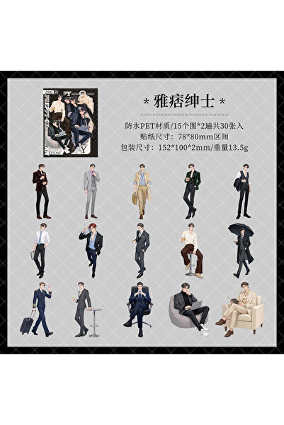 Choice E 30pcs/pack Crowd Shadow Series Fashion Youth PET Stickers DIY Diary ...