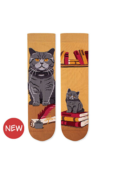 Pirin Hill Șosete de bumbac Arty Socks cu pisici British Shorthair bej