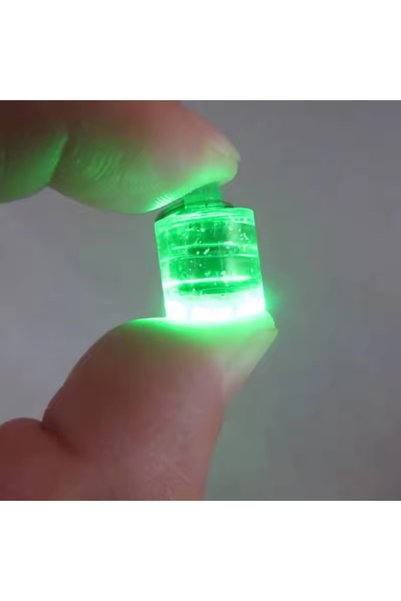 Choice 1pcs RaffordMini Fishing Attraction Lamp Glowing Lure LED Flashing Fis...