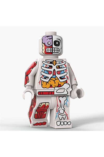 Choice B Cartoon Transparent Human Anime Muscle Anatomy Skeletal Bodys Action...
