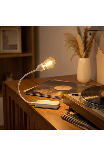 Powermaster USB LED Gece Lambası, Esnek Gövdeli Edison Ampul Tasarımı, Plak Çalar ve Ses Sistemi Köşeleri İçin