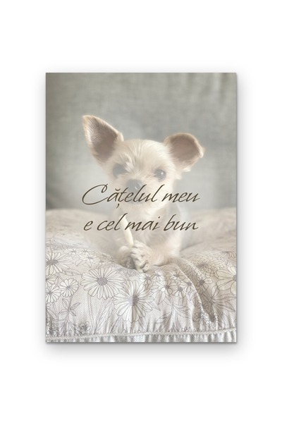 OEM Poster Carton 250g A4, Cățelul meu e cel mai bun, Decor perete, Artă moti...