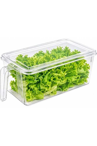 Generic BERAM Multi-Purpose Fridge Storage Box with Lid, Clear Refrigerator O...