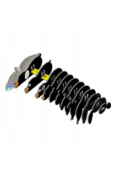 Eugy Puzzle 3D Urs Negru - Fă-o singur