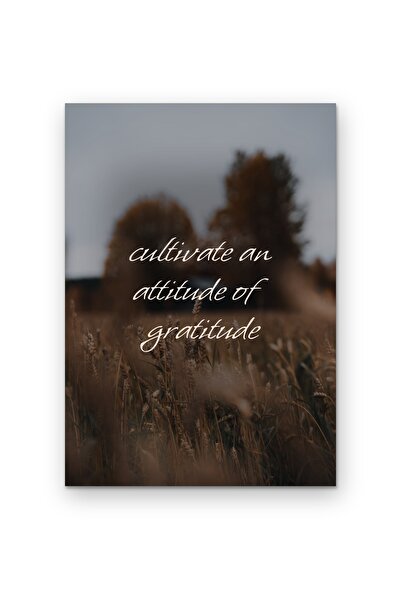 OEM Poster Carton 250g A4 Cultivă o atitudine de recunoștință, Design motivaț...