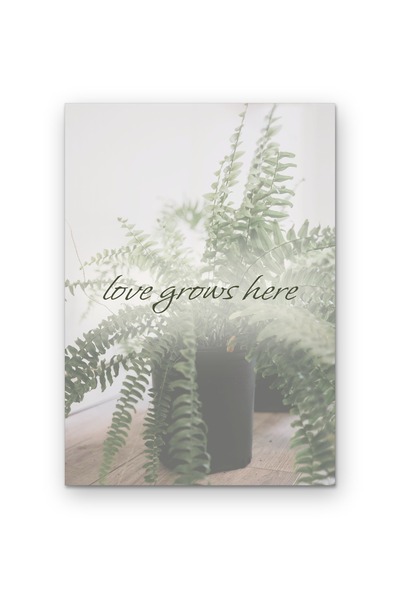 OEM Poster Carton 250g A4 Dragostea creste aici, Citat Motivational, A4