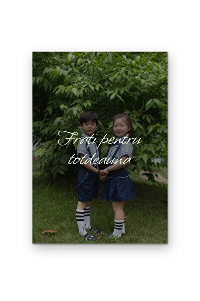 OEM Decorative Wall Poster Brothers Forever, Emotional Message, 250g Cardboar...