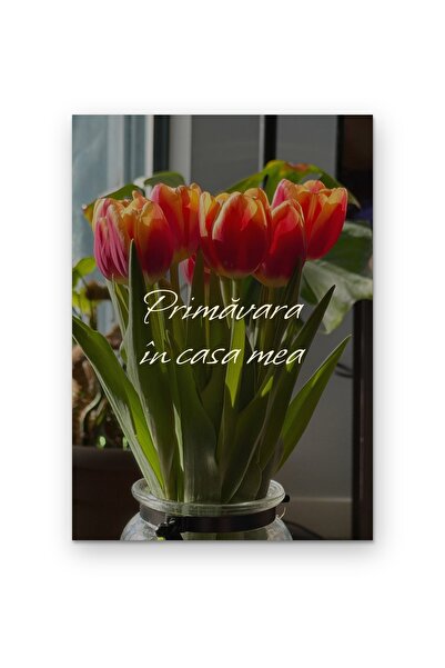 OEM Poster Carton 250g A4 - Primăvara în casa mea, Decor perete motivant