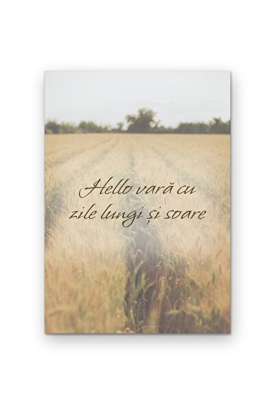 OEM Hello Summer Wall Decorative Poster with Long Days and Sunshine, Minimali...