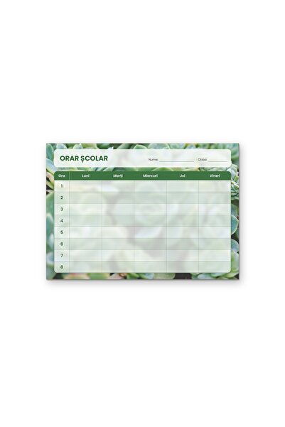 OEM Orar Școlar cu Plante Suculente, Design Floral Relaxant, Carton 250g, For...