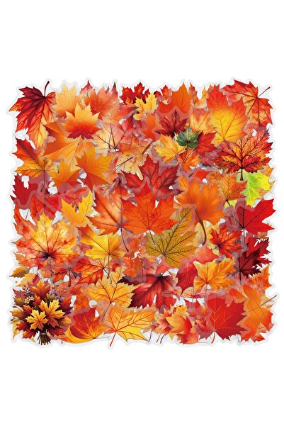 Choice 60PCS Variety 58/60PCS Transparent PET Maple Leaf & Plant Flower Creat...