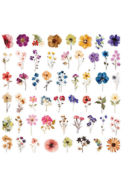Choice 50pcs 50/200PCS Transparent PET Flower Plant Material Stickers Handboo...