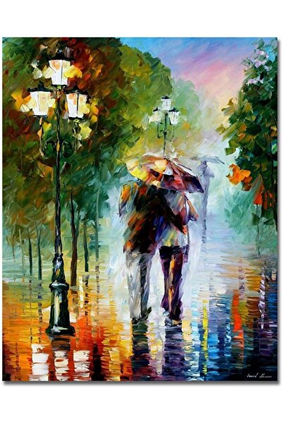 Noonedibs Set de pictură după numere, 40 x 50 cm, fără ramă, cu pensule și vo...