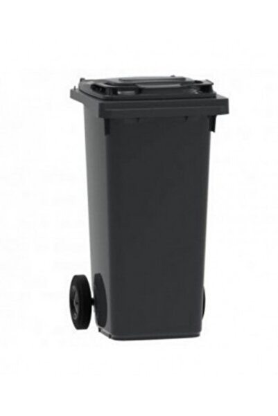 DacEnergy Pubela DacEnergy, plastic, cu capac, 2 roți, 120l, locas cip, gri i...
