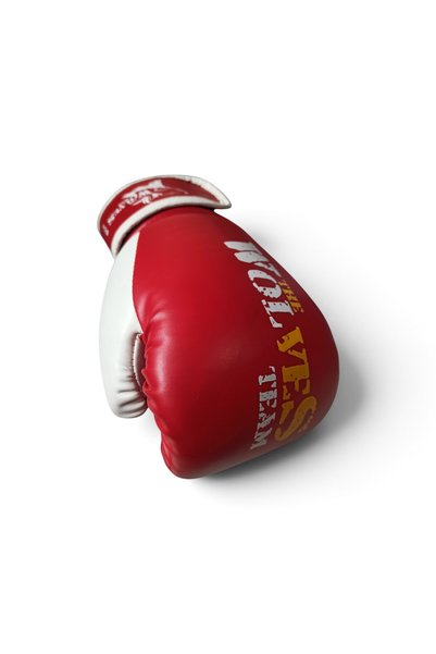 Hureggo Vintage the Wolves Team Professional Red Boxing and Kickboxing Gloves - 8 oz