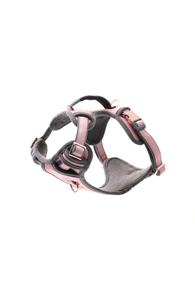 Rogz Urban Explore Tuig Köpek Göğüs Tasması Medium - Pembe