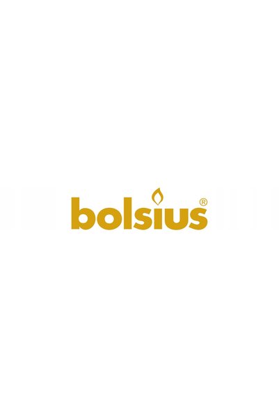 Bolsius Set cadou de Crăciun cu condimente de iarnă: Lumânare + Difuzor de aromă
