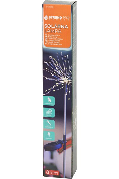 Strend Pro 2x LAMPĂ DE GRĂDINĂ SOLARĂ DUCKLEIGH CU SENZOR LED 8x6x81 CM