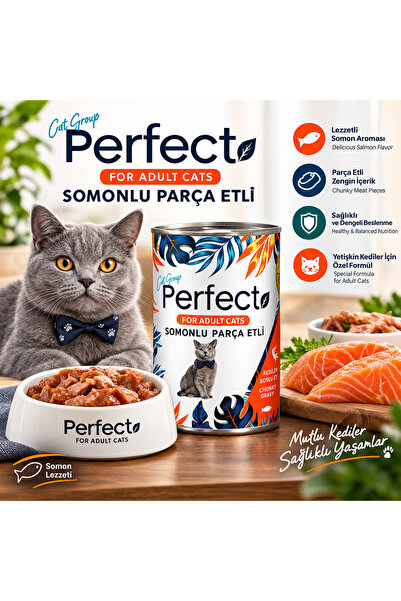 PERFECT Cat Group Canned Cat Food Perfect Adult Cat Wet Food Salmon Meat in B...