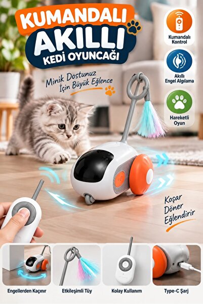 Kitchen Beauty Hareketli Kedi Oyuncak Arabası | Uzaktan Kumandalı, Şarjlı, Se...