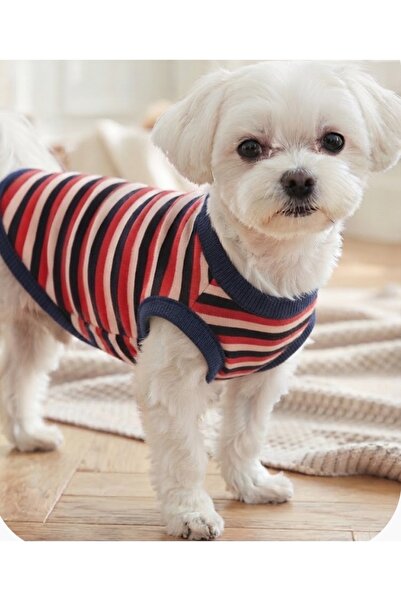 atelyu Cat Dog Outfit Multi-Colored Striped Tshirt