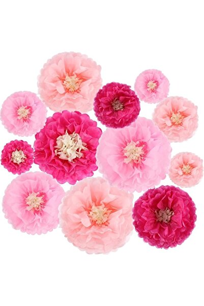 TERRIFI 12 Pieces Pink Paper Flowers, Tissue Pom Poms Giant, Tissue Paper, Fl...