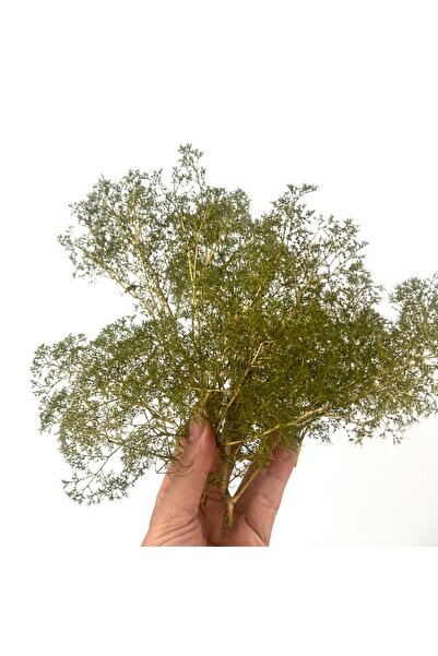 Choice Green Scale Miniature Model foam Tree, sea trees For Architectural bui...