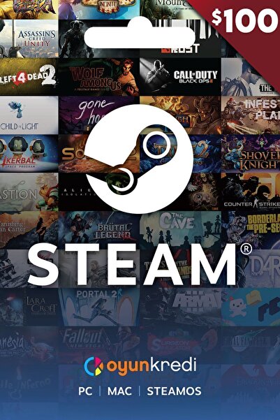 Steam 100 USD Cüzdan Kodu